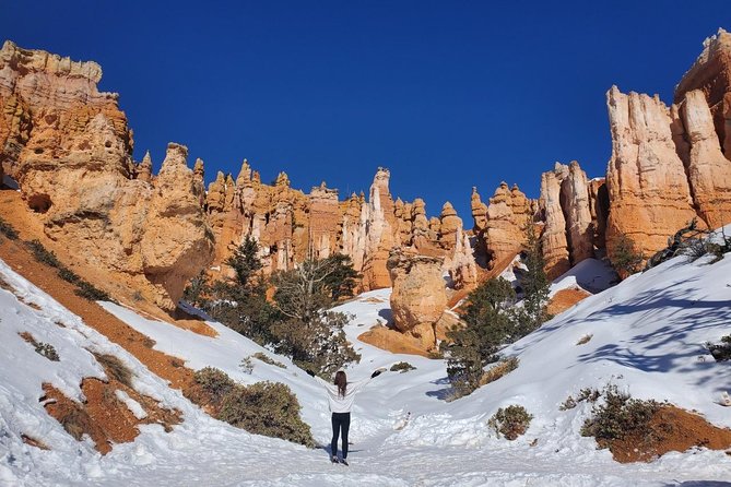 2 Day Grand Canyon, Bryce, Zion, Horseshoe Bend, Antelope Tour - The van ride is part of the price and part of the test