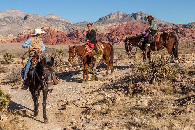2-Hour Horseback Riding through Red Rock Canyon - Meeting your horse at Cowboy Trail Rides