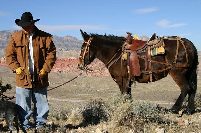 2-Hour Horseback Riding through Red Rock Canyon - Families, older riders, and first-time beginners