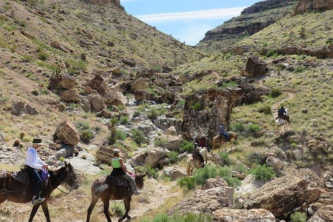 2-Hour Horseback Riding through Red Rock Canyon - The two-hour ride through rocky desert