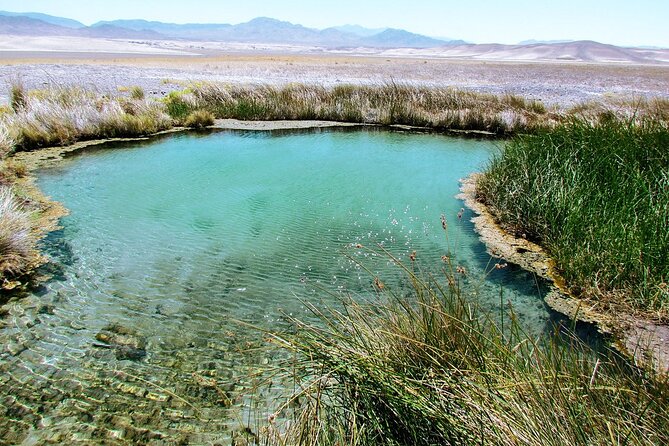 4-Hour Private Hidden Hot Springs Tour near Death Valley - Practical details for a comfortable evening
