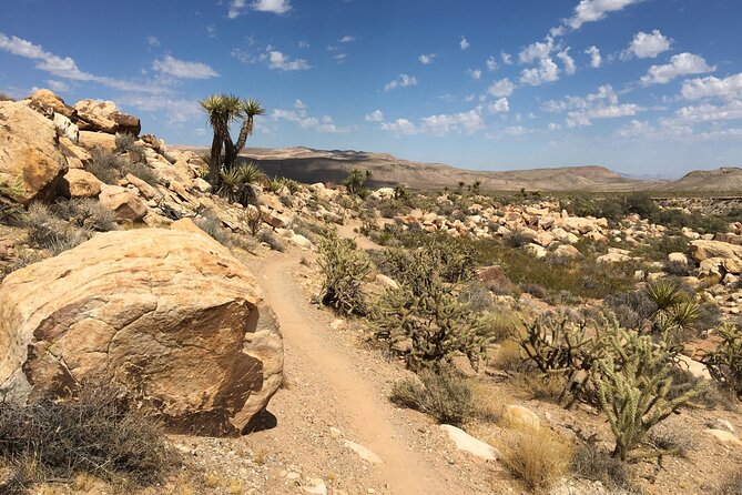 5 Hour Las Vegas Off-Road: Self Drive Jeep Mojave Adventure - Pioneer Saloon, an old Nevada stop with plenty of character