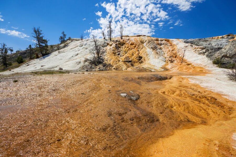 7-Day Yellowstone National Park Rocky Mountain Explorer - Days 4 and 5: Yellowstone’s geysers, canyon, and wildlife