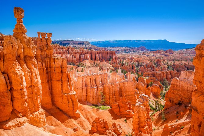 7-Day: Zion, Bryce, Monument Valley, Arches and Grand Canyon Tour - Day 4: The trip’s most useful choice