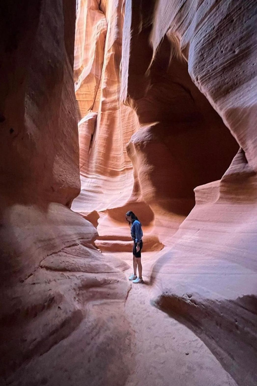 Antelope Canyon and Horseshoe Bend Vip small group tour - Why this full-day Arizona trip works