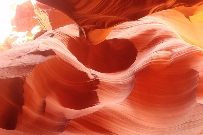 Antelope Canyon, Horseshoe Bend and Lake Powell Tour from Las Vegas - Why this Las Vegas day trip works