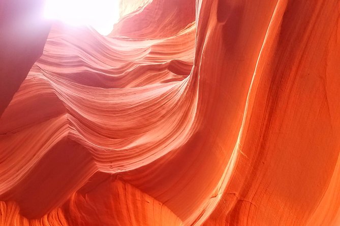 Antelope Canyon, Horseshoe Bend and Lake Powell Tour from Las Vegas - The guide and group size shape the day