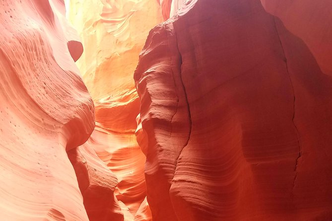 Antelope Canyon, Horseshoe Bend and Lake Powell Tour from Las Vegas - Lake Powell: a short but worthwhile first look