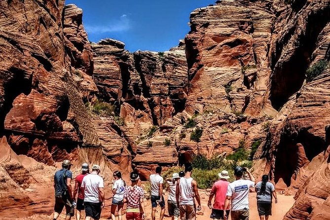 Antelope Canyon & Horseshoe Bend Tour from Las Vegas with Lunch - Lunch, water, and the value of $269