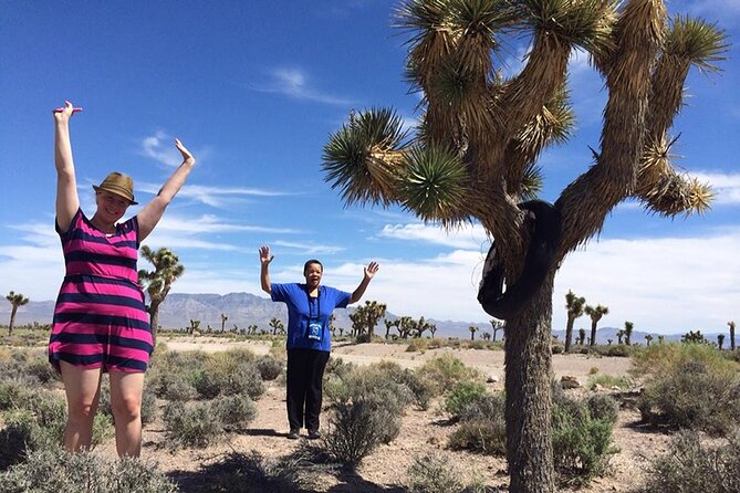 Area 51 Day Tour from Las Vegas with Alien and UFO Hotspots - The Extraterrestrial Highway and the old dry lake