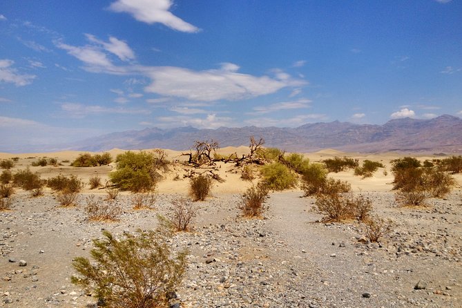 Arizona Ghost Towns and Wild-West Day Trip from Las Vegas - What the $249 price really buys you