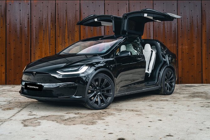 Arrival Private Transfer from Las Vegas Airport to Las Vegas by electric vehicle - Who should book this airport transfer