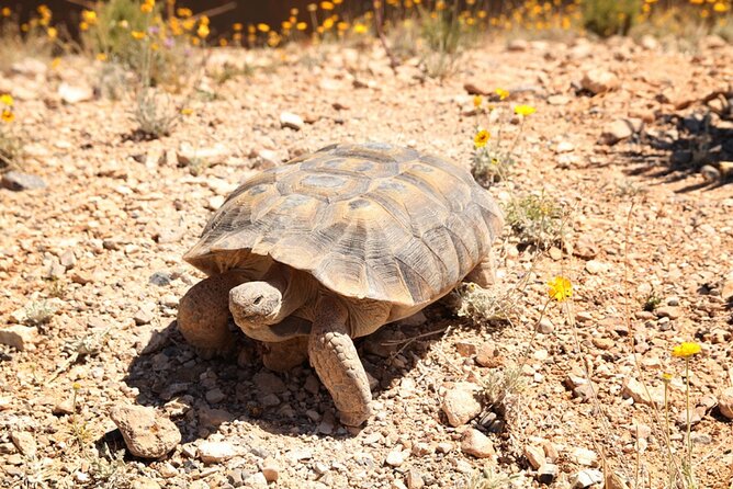 Audio Driving Tour: Grand Canyon West, Hoover Dam Red Rock Canyon - Eagle Point connects scenery with Hualapai tradition