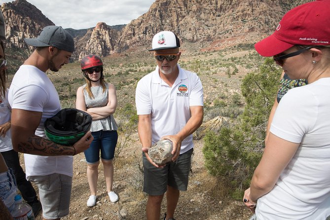 Award Winning Red Rock Canyon Tours - Timing, pickup, and the four-hour trade-off