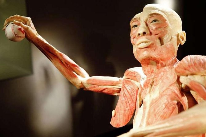 Bodies The Exhibition at the Luxor Hotel and Casino - Practical Tips Before You Go