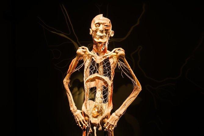Bodies The Exhibition at the Luxor Hotel and Casino - The Most Sensitive Room Requires a Personal Choice