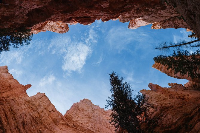 Bryce Canyon & Zion National Park from Las Vegas with Lunch, WiFi - Lunch, WiFi, and the practical side of the ride