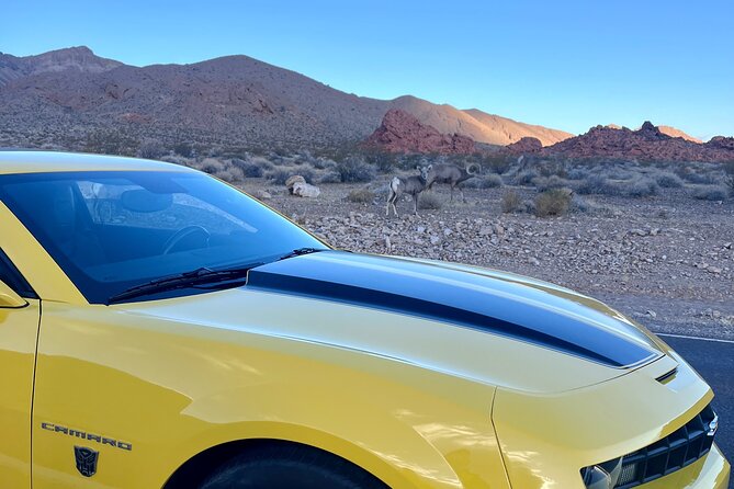 Bumblebee Camaro Tour: Transformers Movie Locations - Elephant Rock: the first big photo opportunity