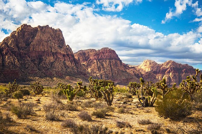 California Desert, Red Rock Views and Seven Magic Mountains - Seven Magic Mountains: color in an empty desert