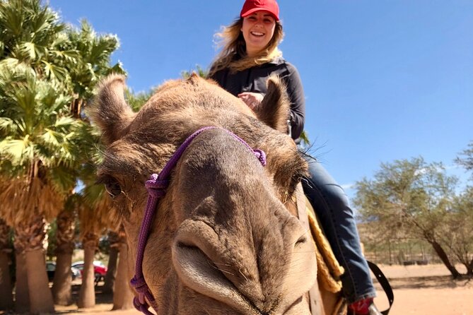 Camel Safari - Camel Ride and Zoo Tour - Camel Safari in Bunkerville, not Las Vegas proper