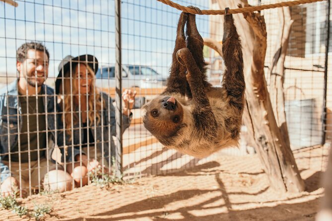 Camel Safari - Camel Ride and Zoo Tour - How the tram portion changes the pace