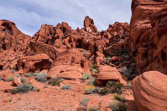 Combo Tour: Valley of Fire & Hoover Dam Full-Day Tour - Petrified logs add an older story