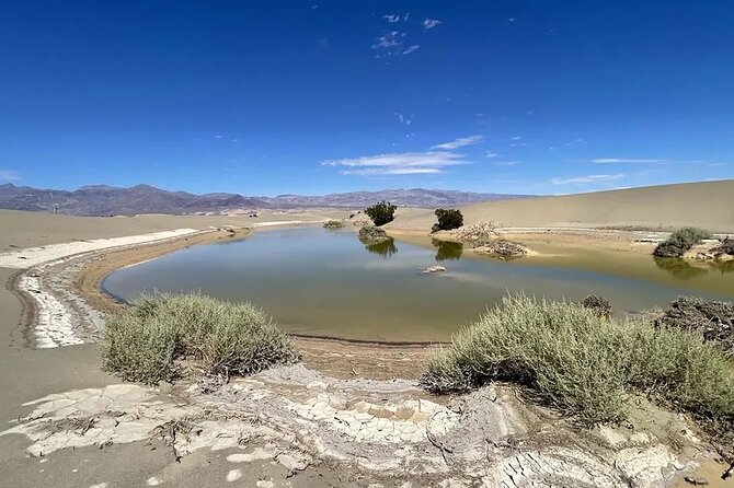 Death Valley Mojave Desert VIP Small Group Tour from Las Vegas - Mesquite Flat Sand Dunes bring movement to the route