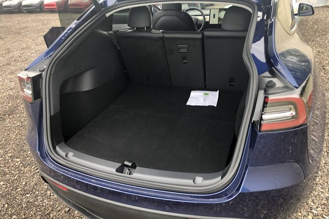 Departure Private Transfer: Las Vegas to Las Vegas Airport by electric vehicle - Booking details that prevent trouble