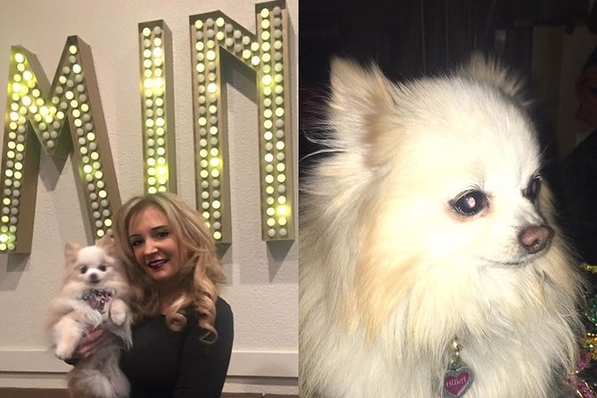 Dimmare's Martinis and Magic® Ticket: Dinner,cocktails & Show - Dinner, cocktails, and the package question