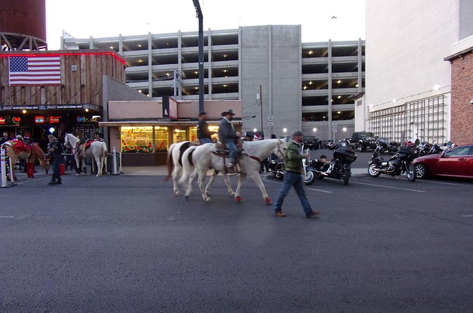 Downtown Las Vegas Evening Tour by Segway - Is $79 a fair price?