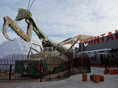 Downtown Las Vegas Nighttime Walking Tour