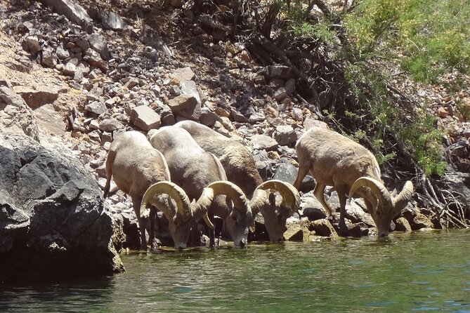 Emerald Cave & Black Canyon Kayak Tour with Vegas Pickup - Sun, water, and what to pack