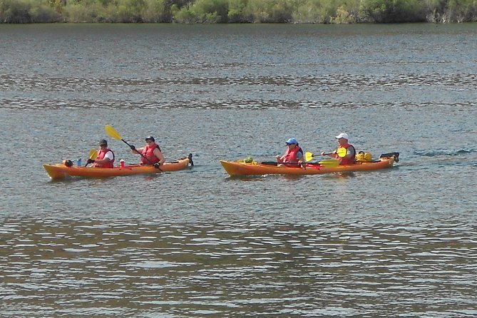 Emerald Cave Kayak Trip from Willow Beach near Las Vegas - Willow Beach Marina: a practical 15-minute start