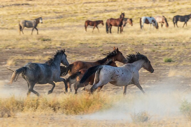 Extra Luxury tour for up to 7 to Antelope Canyon X and Horseshoes - The one-mile walk to Horseshoe Bend