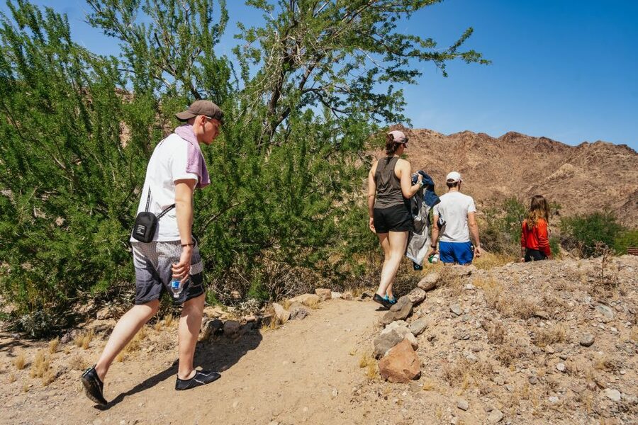 From Las Vegas: Black Canyon Half-Day Kayak Tour - Watching for sheep, eagles, and coyotes