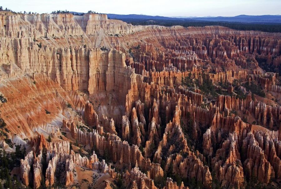 From Las Vegas: Bryce Canyon and Zion Park Tour with Lunch - Guides who shape the day