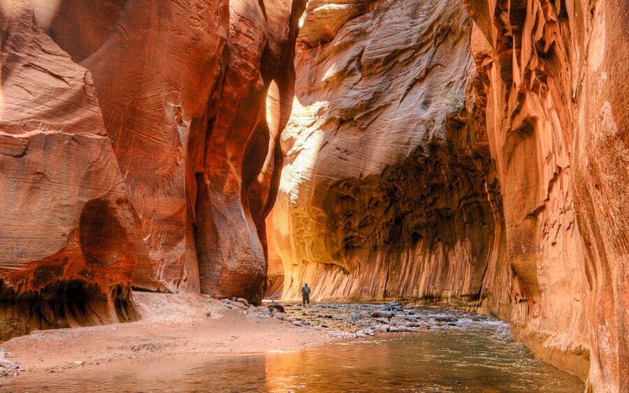 From Las Vegas: Bryce Canyon and Zion Park Tour with Lunch - Lunch, comfort, and the practical side