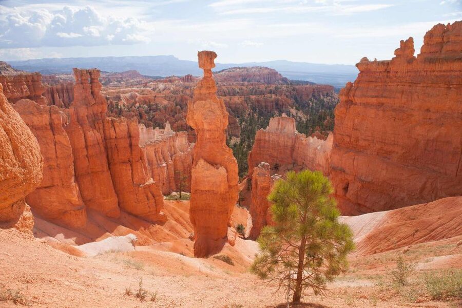 From Las Vegas: Bryce Canyon and Zion Park Tour with Lunch - Is $219 a fair price?