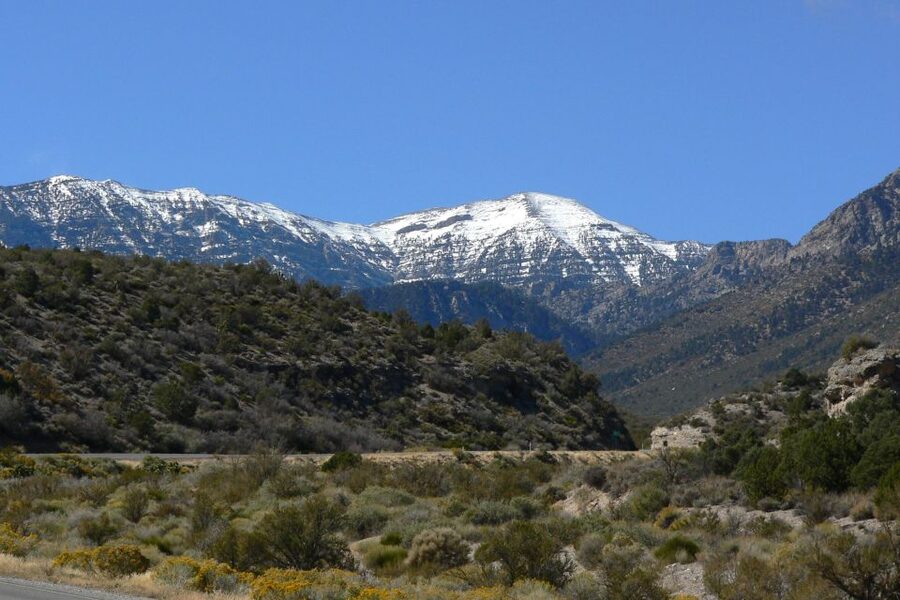 From Las Vegas: Day Trip to Mount Charleston Resort - Who should book this Mount Charleston trip?