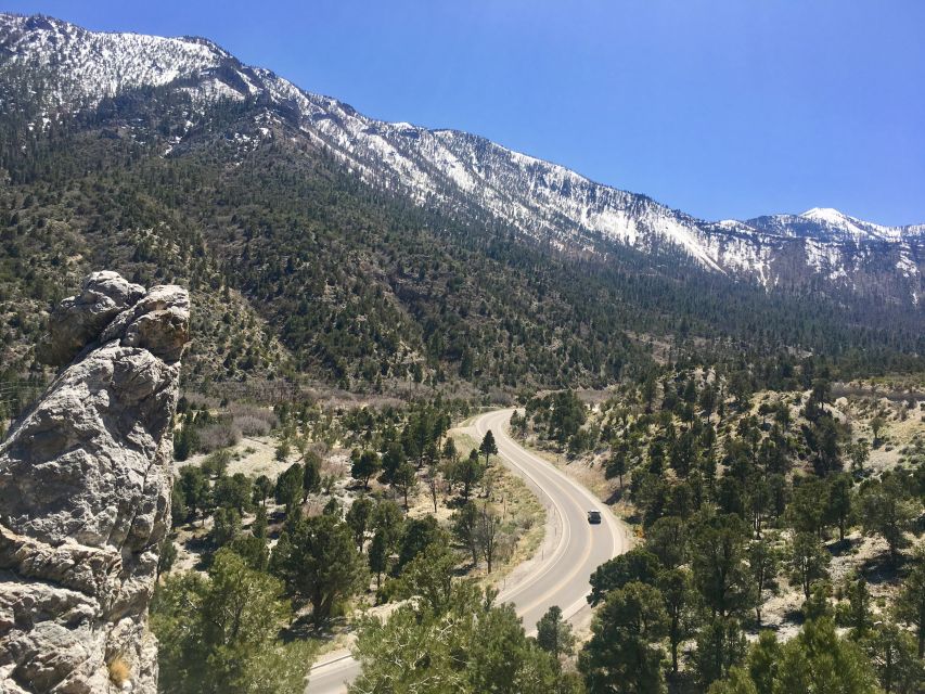 From Las Vegas: Day Trip to Mount Charleston Resort - From cacti to bristlecone pines