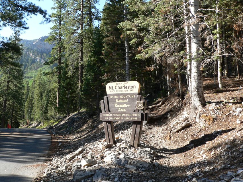 From Las Vegas: Day Trip to Mount Charleston Resort - The morning ride from the Strip
