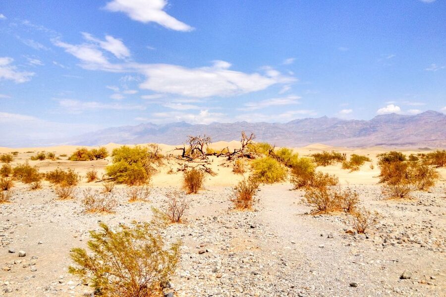 From Las Vegas: Ghost Town Wild West Adventures Day Trip - From Las Vegas lights to Hoover Dam’s concrete wall