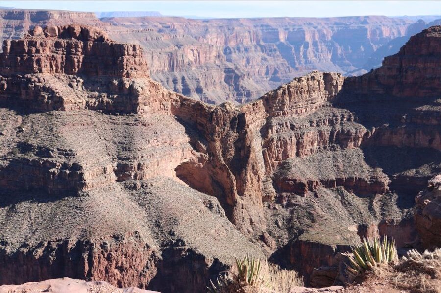 From Las Vegas: Grand Canyon & Hoover Dam Private Photo Tour - Joshua trees and the return through Boulder City