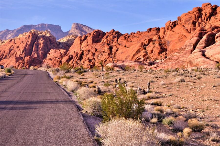 From Las Vegas: Red Rock Canyon Electric Bike Hire - Who will enjoy this most?