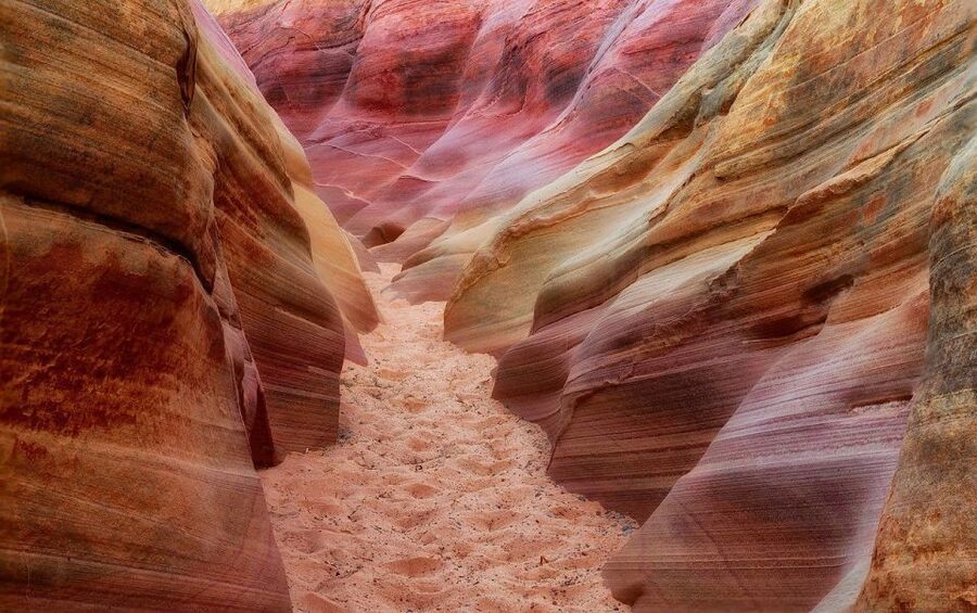 From Las Vegas: Valley of Fire State Park Tour - Ancient petroglyphs and petrified trees