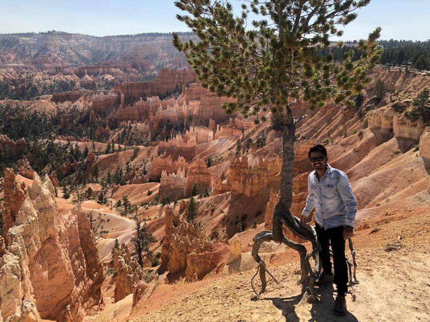 From Las Vegas: Zion and Bryce Canyon Day Trip with Pickup - Why Bryce and Zion make a powerful one-day pair
