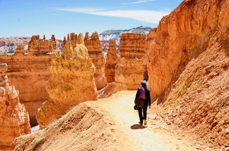 From Las Vegas: Zion and Bryce Canyon Day Trip with Pickup - Zion offers views, but not the full shuttle route