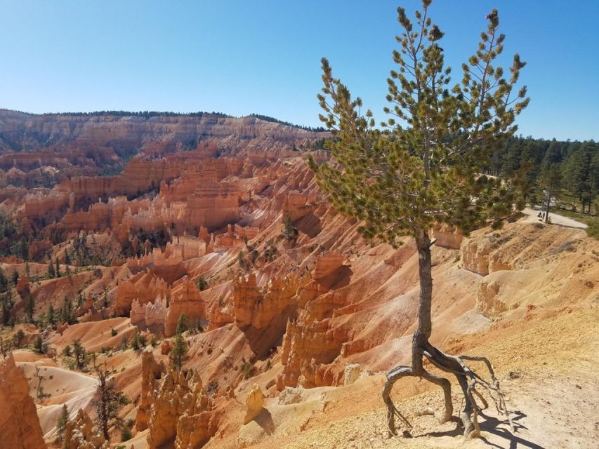 From Las Vegas: Zion and Bryce Canyon Guided Day Tour - Why this two-park day works from Las Vegas