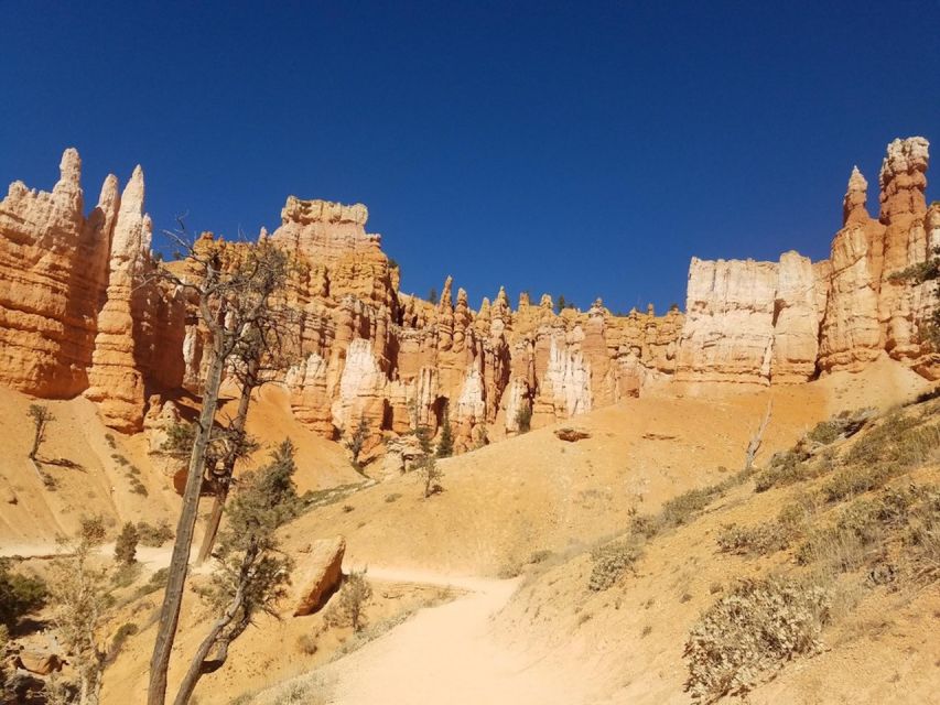 From Las Vegas: Zion and Bryce Canyon Guided Day Tour - Lunch with a view, not a restaurant stop