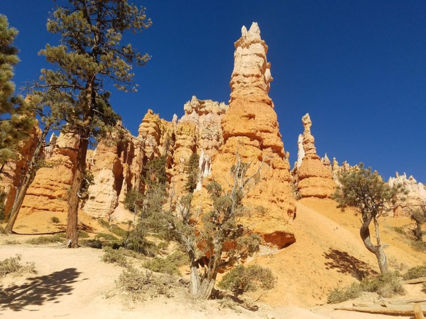 From Las Vegas: Zion and Bryce Canyon Guided Day Tour - Entering Zion through the Mt. Carmel tunnel